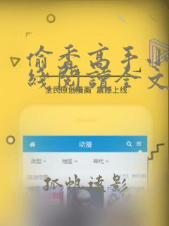 偷香高手小说在线阅读全文