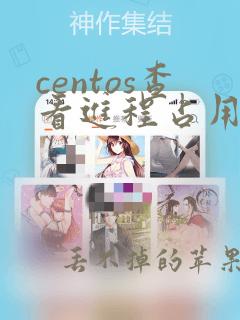 centos查看进程占用内存