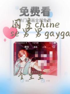 国产chinese男男gaygay网站腹肌体育生