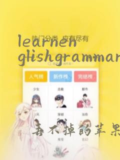 learnenglishgrammar app