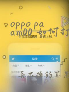 oppo paam00 如何打开开发者模式