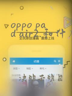 oppo pad air2.和什么平板壳通用