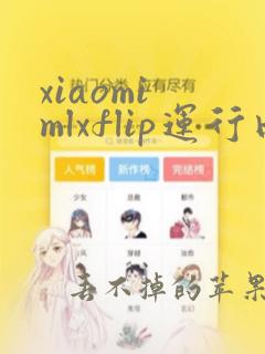 xiaomi mlxflip运行内存12 6