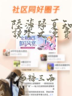 陆薄归夏知心小说全文免费阅读