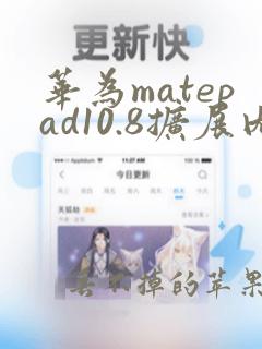 华为matepad10.8扩展内存可以装应用吗