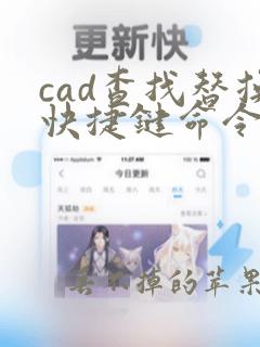 cad查找替换快捷键命令是什么