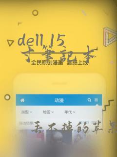 dell 15寸笔记本