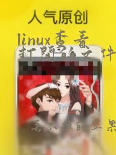 linux查看打开的文件句柄