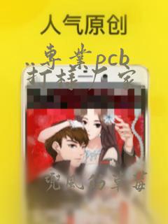 ..专业pcb打样厂家