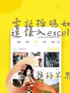 电话号码如何快速录入excel