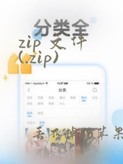 zip 文件 (.zip)