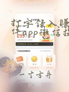 打字录入赚钱软件app微信提现