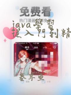 java学习 从入门到精通