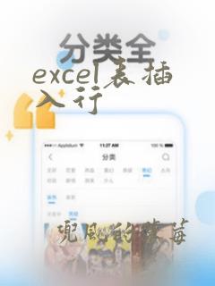 excel表插入行