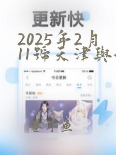 2025年2月11号天津与江苏女排联赛的比赛