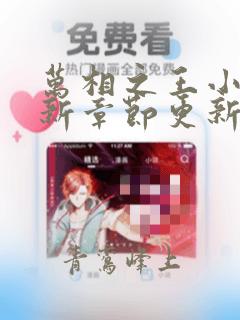 万相之王小说最新章节更新时间