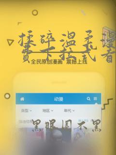 揉碎温柔漫画免费下拉式看漫画最新章节