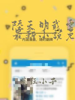 陆天明武云媚的最新小说免费阅读