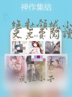 绝对领域小说全文免费阅读笔趣阁