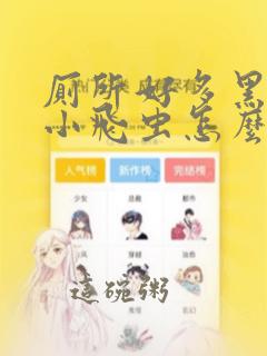 厕所好多黑色的小飞虫怎么彻底消灭