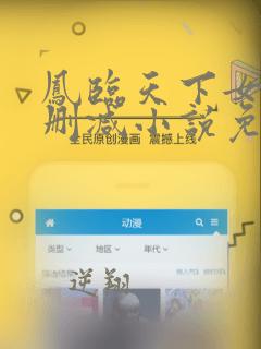 凤临天下女商无删减小说免费阅读