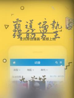 霸道偏执占有欲强的男主