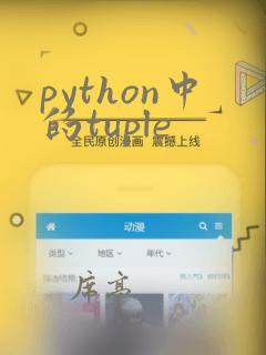 python中的tuple