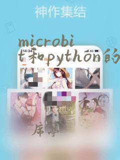 microbit和python的区别