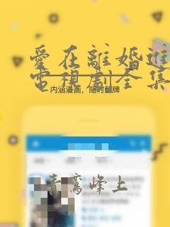爱在离婚进行时电视剧全集免费观看