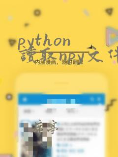 python 读取npy文件