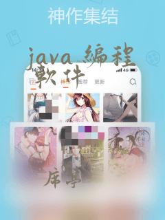 java 编程 软件