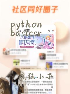 python basicsr