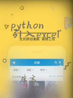 python 引入excel