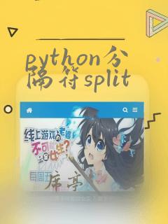 python分隔符split