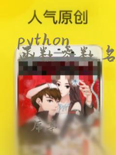 python 函数参数名称