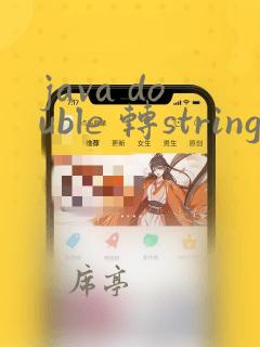 java double 转string