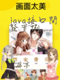 java接口开发实例