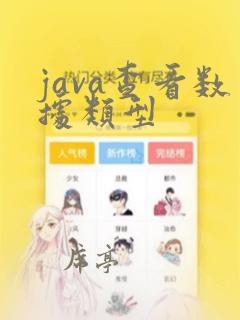 java查看数据类型