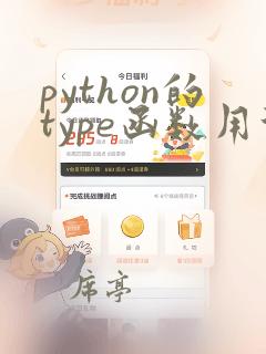 python的type函数用法