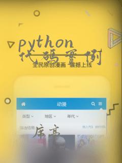 python 代码实例