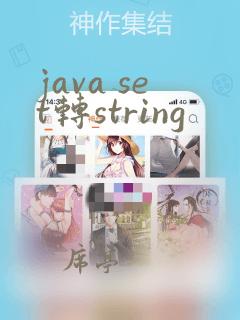 java set转string