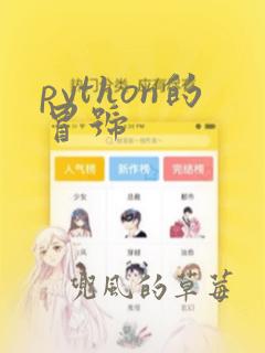 python的冒号