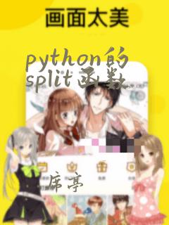python的split函数