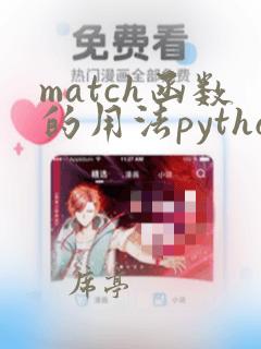match函数的用法python