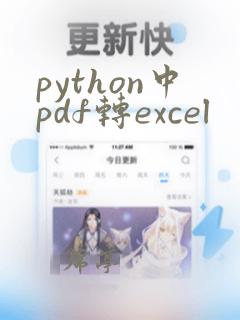 python中pdf转excel