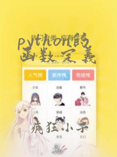 python的函数定义