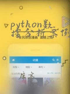 python数据分析案例