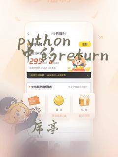 python 中的return