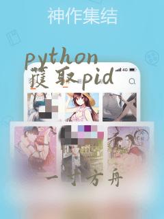 python 获取pid