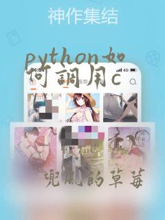 python如何调用c